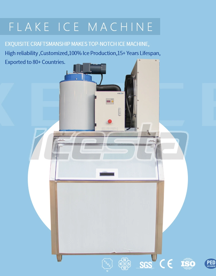 Icesta 300kg 500kg 1000kg 1ton Easy Control High Reliable Commercial Ice Flake Machine