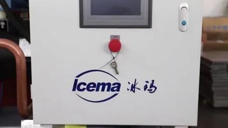 15-Tonnen-Fabrik-Direktverkauf einer automatischen Soleblock-Eismaschine